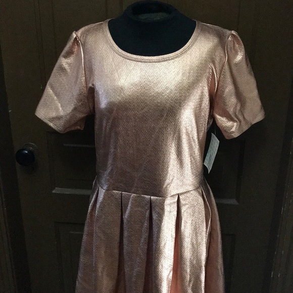 LuLaRoe Dresses & Skirts - LulaRoe Amelia in showstopping copper!